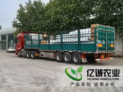 溫室大棚制造廠家施工現(xiàn)場(chǎng)案例-溫室工程出口圖片_青州市億誠(chéng)農(nóng)業(yè)科技